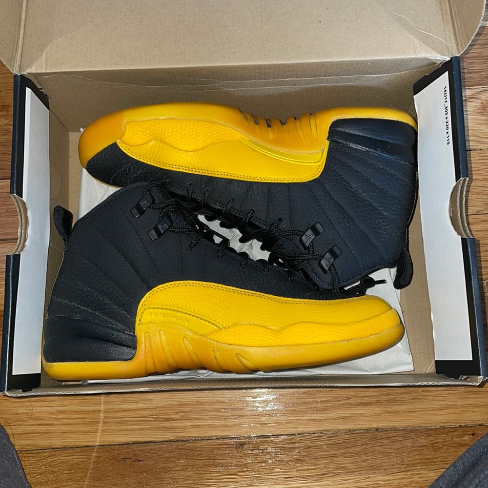 Jordan Retro 12 Reverse Taxis